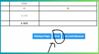 Bhulekh Odisha khasra khatauni print