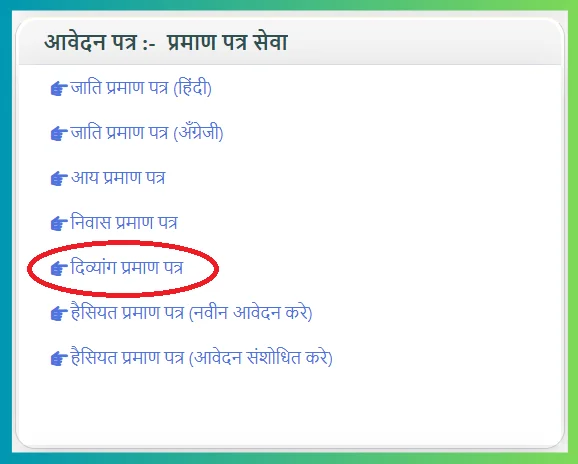 viklang certificate