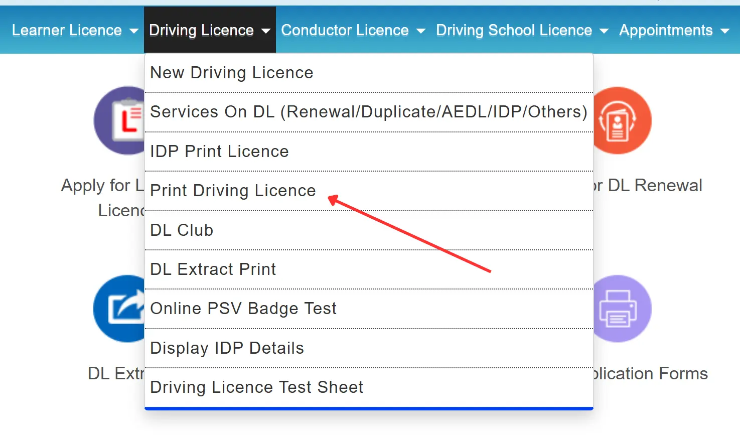 Driving License Download