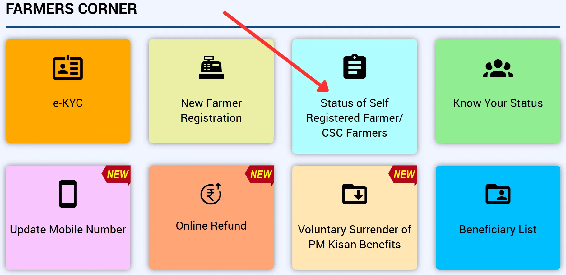 PM Kisan Correction / Update